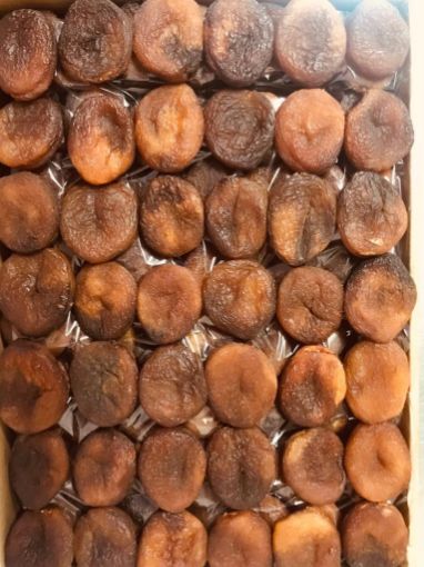 Malatya Doğal Günkurusu Jumbo Kayısı resmi Malatya Doğal Günkurusu Jumbo Kayısı resmi